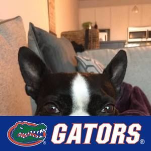 Meet your Posher, Lori